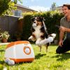 Automatic Ball Launcher for Fetch-Obsessed Pups, Orange