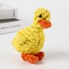 Duck & Carrot Rope Tug Toy