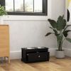 Elevated Dog Feeder Station with Storage Drawer, Black