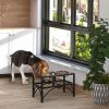 Elevated Double Stainless Steel Feeding Station