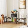 Adjustable Feeding Station with Storage, Black