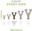 Wishbone Chew Toy for Tough Chewers