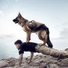 Tactical Harness with Detachable Pouches