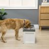 Elevated Feeding Station with Storage Drawer, White
