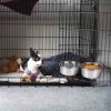Hanging Crate Bowl with Clamp Holder