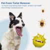 Oral Foam Dental Cleanser, No-Brush Fresh Breath Formula