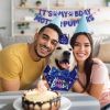 Boy Dog Birthday Bandana, Hat & Banner Set - Blue