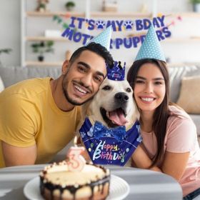 Boy Dog Birthday Bandana, Hat & Banner Set - Blue