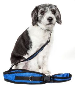 Echelon Hands-Free Convertible Leash & Belt