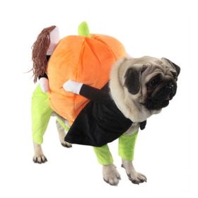 Pumpkin Carrier Halloween Costume
