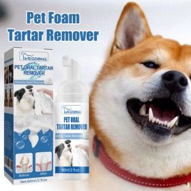 Oral Foam Dental Cleanser, No-Brush Fresh Breath Formula
