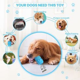 Azure Rubber Chew & Squeaky Toy