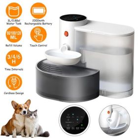 Cordless Water Fountain for Dogs, White