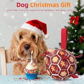 Soccer Ball Tug Toy with Straps