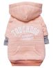 Hampton Beach Sand-Blasted Cotton Hoodie