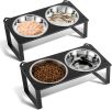 Elevated Dog Feeding Station with 4 Tilted Bowls