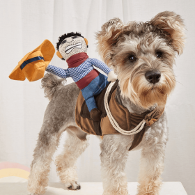 Cowboy Rider Costume for Dogs (Color / Size: Mixed Color / M)