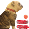 Spiked Studded Leather Collar