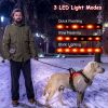 Rechargeable LED Light-Up No-Pull Harness