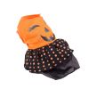 LED Light-Up Halloween Dress Costume