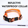 Reflective Waterproof Leash & Collar Set