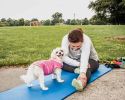4-Way Stretch Sleeveless Performance Hoodie for Dogs