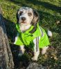 Reflecta-Glow Waterproof PVC Raincoat