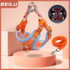 Reflective Harness & Leash Set for Everyday Walks