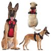 Rechargeable LED Light-Up No-Pull Harness