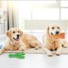 No-Stuffing Squeaky Octopus Duo (2-Pack)