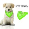 Bandana Collar with Triangle Scarf