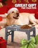 Adjustable Elevated Dog Bowl Set with Non-Slip Mat