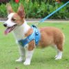 No-Pull Reflective Harness & Leash Set