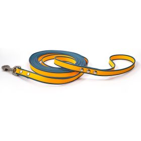 Two-Tone Tangle-Free Training Leash (Color / Size: Orange-Blue / 3M)