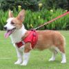 No-Pull Reflective Harness & Leash Set