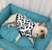 Flannel Winter Coat