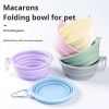 Foldable Travel Bowl for Dogs, 350ml