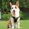 No-Pull Reflective Harness & Leash Set