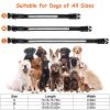 LED Light-Up Safety Collar, 9 Colors