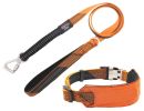 Geo-prene Padded Reflective Leash & Collar Set