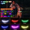 LED Light-Up Safety Collar, 9 Colors