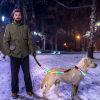 LED Light-Up Safety Collar, 9 Colors