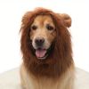 Lion Mane Wig Costume
