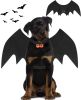 Bat Wings Halloween Costume for Dogs