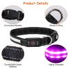 LED Light-Up Safety Collar, 9 Colors