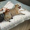 Cozy Paw-Print Fleece Blankets, Set of 3