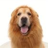 Lion Mane Wig Costume