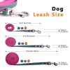Two-Tone Tangle-Free Training Leash