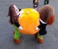 Pumpkin Carrier Halloween Costume