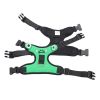 Frog Mesh Harness & Leash Set for Small Dogs
